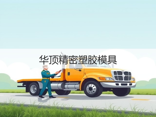 华顶精密塑胶模具(图3)