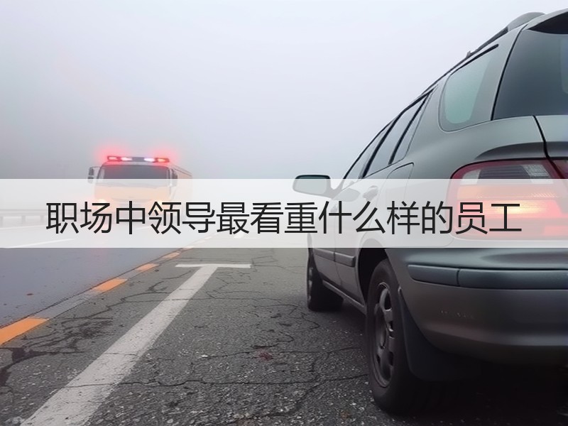 职场中领导最看重什么样的员工
