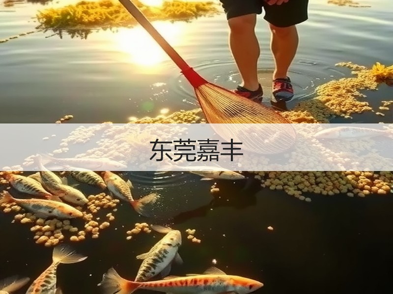 东莞嘉丰