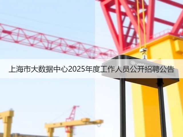 上海市大数据中心2025年度工作人员公开招聘公告(图3) 上海市大数据中心2025年度工作人员公开招聘公告(图3)