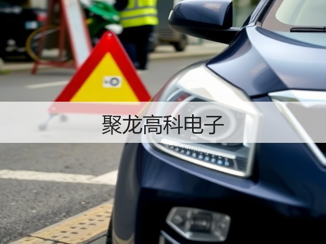 聚龙高科电子(图1) 聚龙高科电子(图1)
