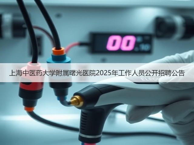上海中医药大学附属曙光医院2025年工作人员公开招聘公告(图3) 上海中医药大学附属曙光医院2025年工作人员公开招聘公告(图3)