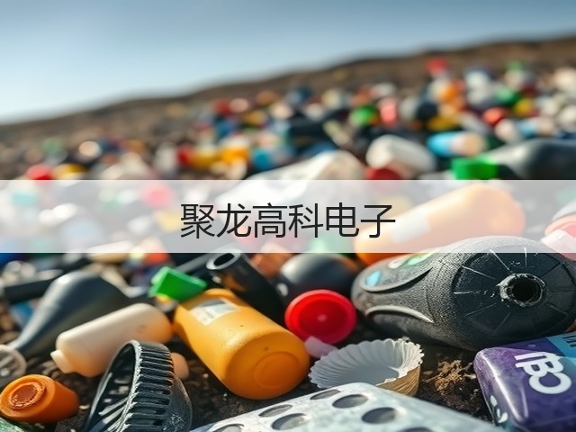 聚龙高科电子(图2) 聚龙高科电子(图2)