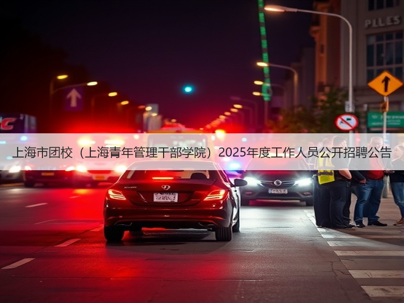 上海市团校（上海青年管理干部学院）2025年度工作人员公开招聘公告