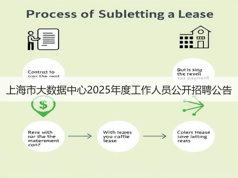 上海市大数据中心2025年度工作人员公开招聘公告
