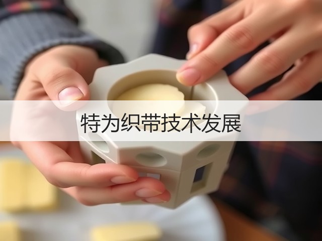 特为织带技术发展(图3) 特为织带技术发展(图3)