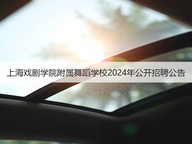 上海戏剧学院附属舞蹈学校2024年公开招聘公告(图3) 上海戏剧学院附属舞蹈学校2024年公开招聘公告(图3)