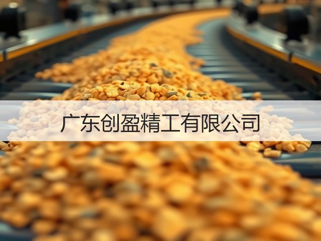 广东创盈精工有限公司(图3)