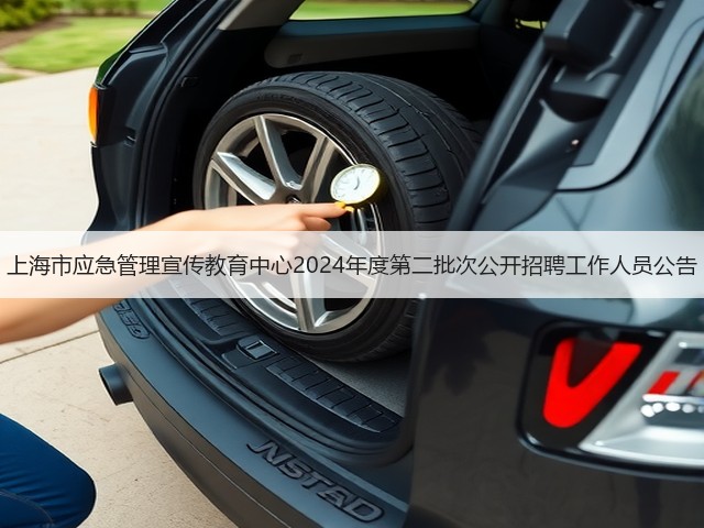 上海市应急管理宣传教育中心2024年度第二批次公开招聘工作人员公告(图3) 上海市应急管理宣传教育中心2024年度第二批次公开招聘工作人员公告(图3)