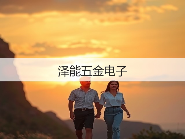 泽能五金电子(图3)