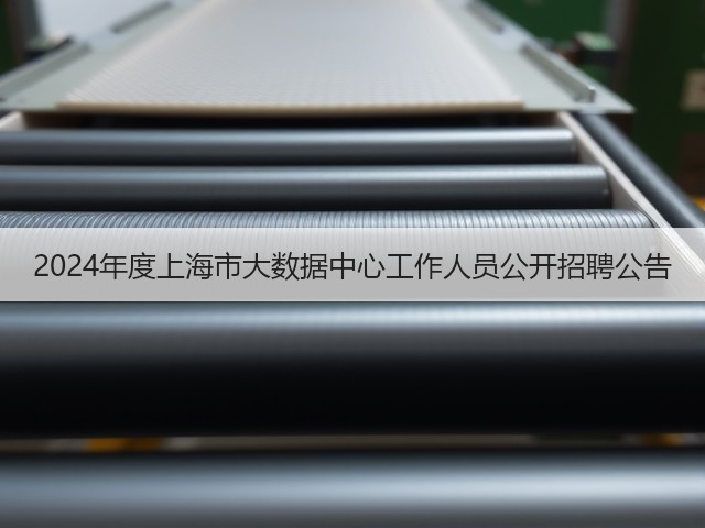 2024年度上海市大数据中心工作人员公开招聘公告(图3) 2024年度上海市大数据中心工作人员公开招聘公告(图3)