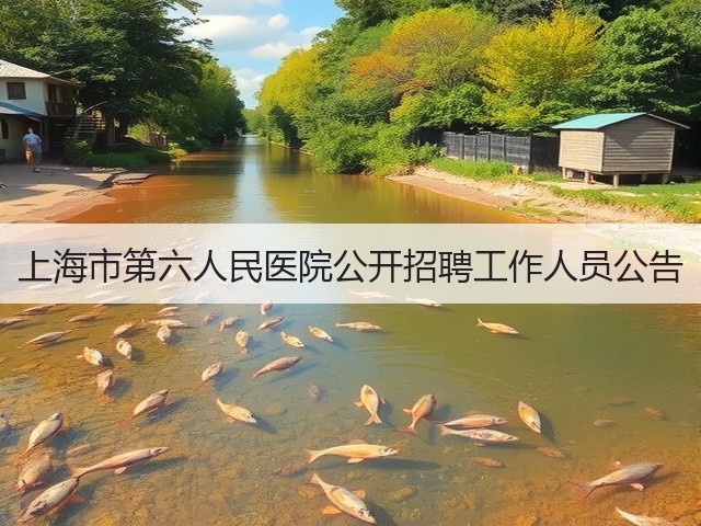上海市第六人民医院公开招聘工作人员公告(图3) 上海市第六人民医院公开招聘工作人员公告(图3)