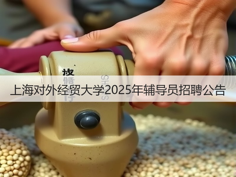 上海对外经贸大学2025年辅导员招聘公告