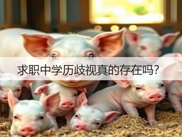 求职中学历歧视真的存在吗?(图3) 求职中学历歧视真的存在吗?(图3)