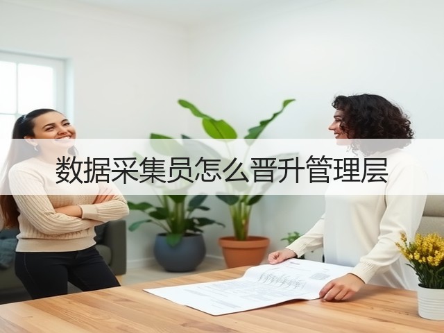 数据采集员怎么晋升管理层(图2) 数据采集员怎么晋升管理层(图2)