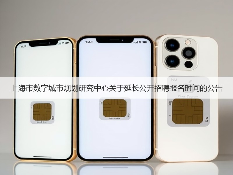 上海市数字城市规划研究中心关于延长公开招聘报名时间的公告