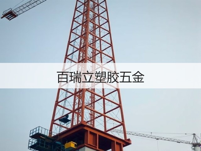 百瑞立塑胶五金(图2)