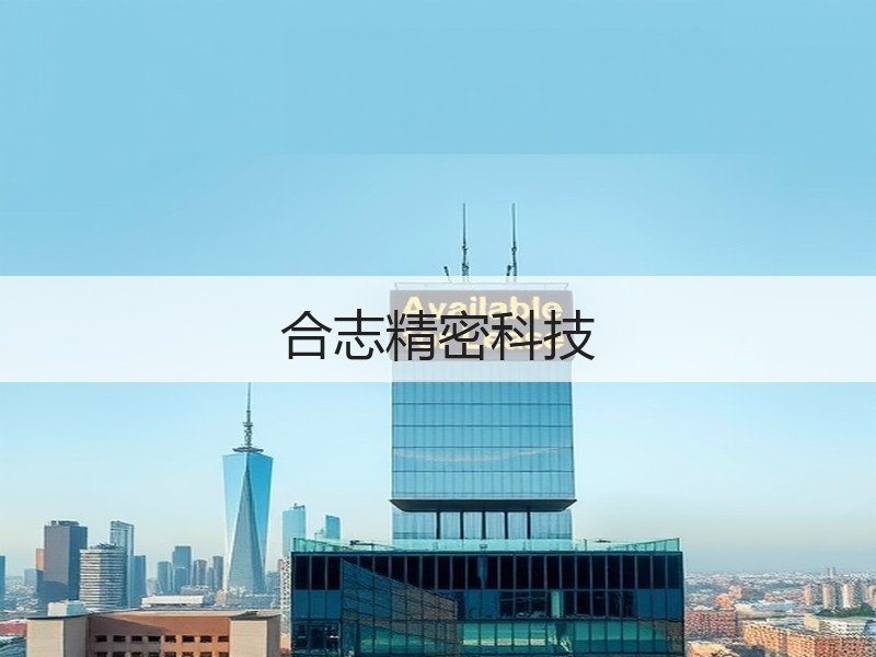 合志精密科技