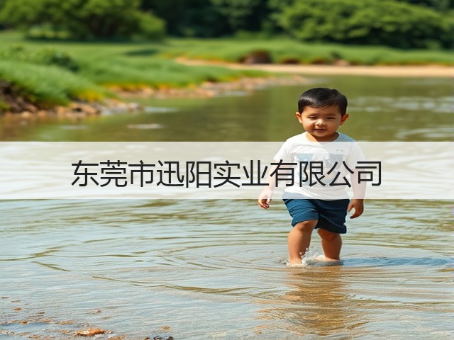 东莞市迅阳实业有限公司(图1)