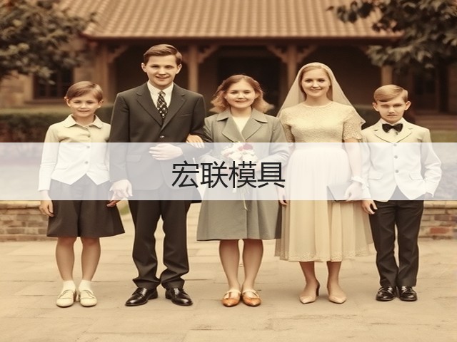 宏联模具(图1) 宏联模具(图1)