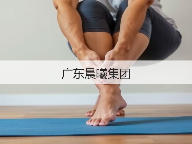 广东晨曦集团