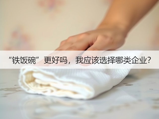“铁饭碗”更好吗,我应该选择哪类企业?(图2) “铁饭碗”更好吗,我应该选择哪类企业?(图2)