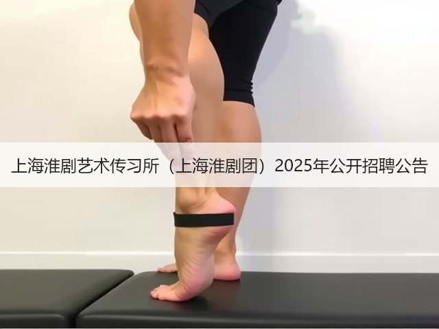 上海淮剧艺术传习所(上海淮剧团)2025年公开招聘公告(图3) 上海淮剧艺术传习所(上海淮剧团)2025年公开招聘公告(图3)