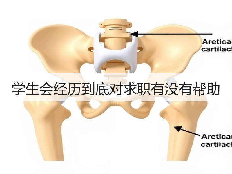 学生会经历到底对求职有没有帮助