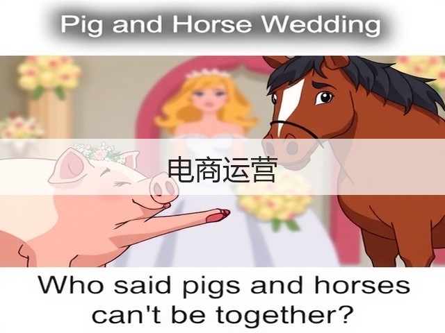 电商运营(图1)