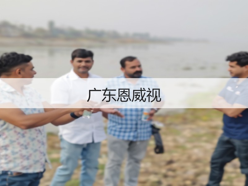 广东恩威视