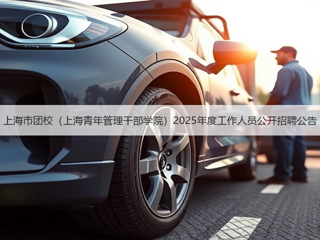 上海市团校（上海青年管理干部学院）2025年度工作人员公开招聘公告(图2)