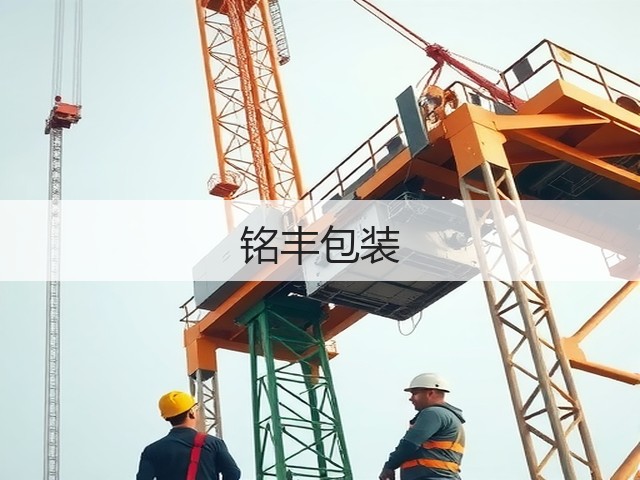 铭丰包装(图3)