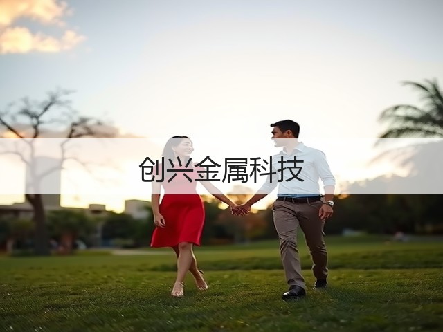 创兴金属科技(图3) 创兴金属科技(图3)