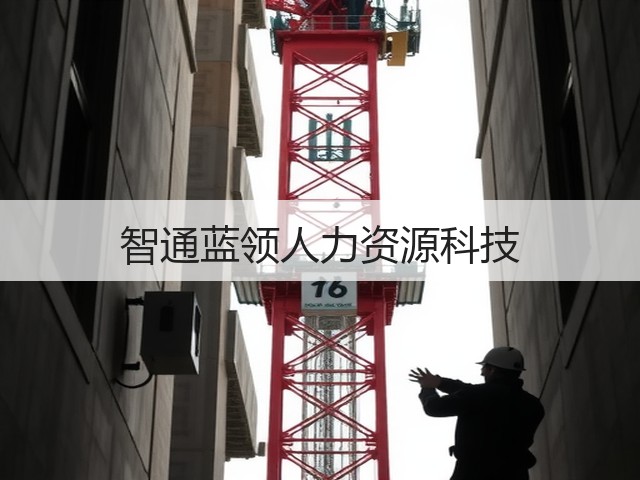 智通蓝领人力资源科技(图3)