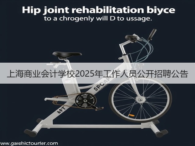 上海商业会计学校2025年工作人员公开招聘公告(图3)