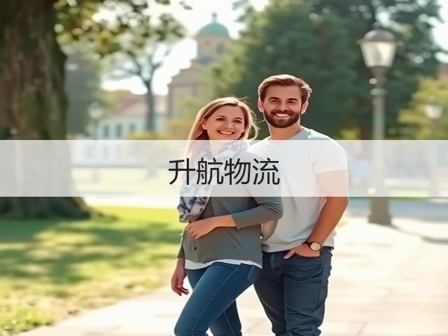 升航物流(图3)