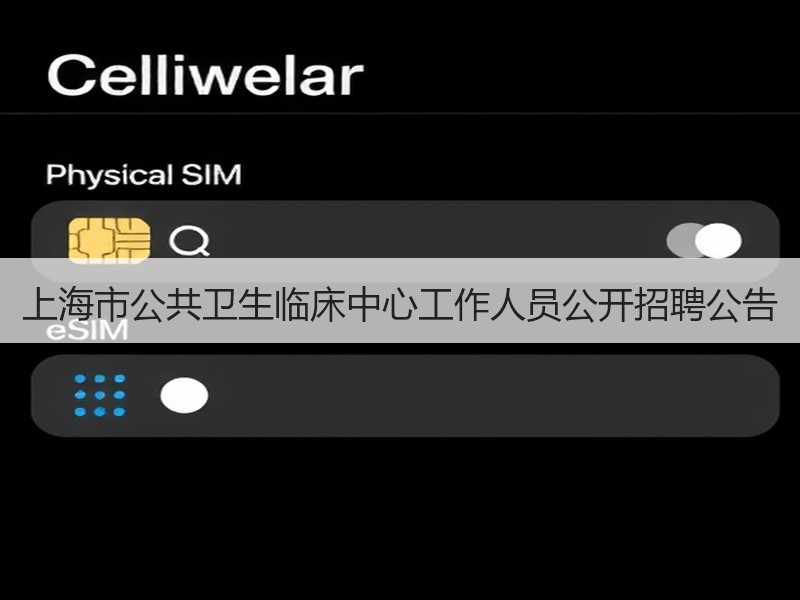 上海市公共卫生临床中心工作人员公开招聘公告