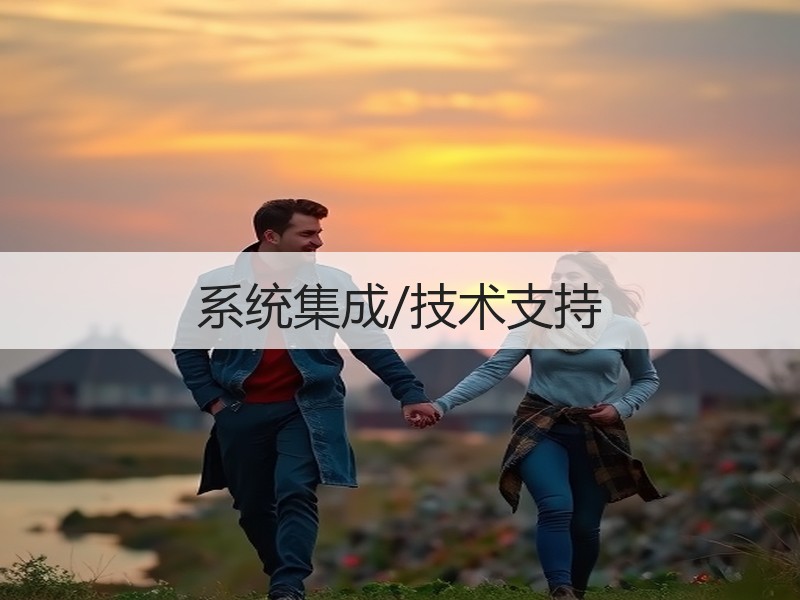 系统集成/技术支持