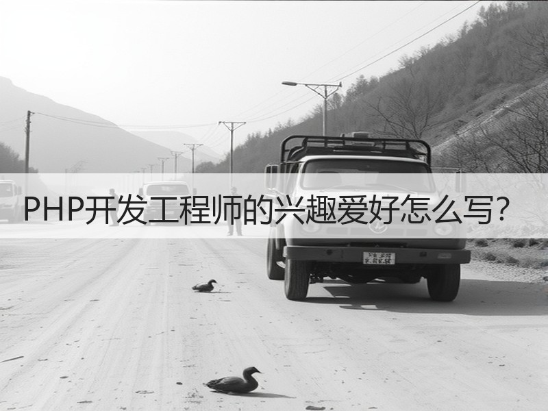 PHP开发工程师的兴趣爱好怎么写？