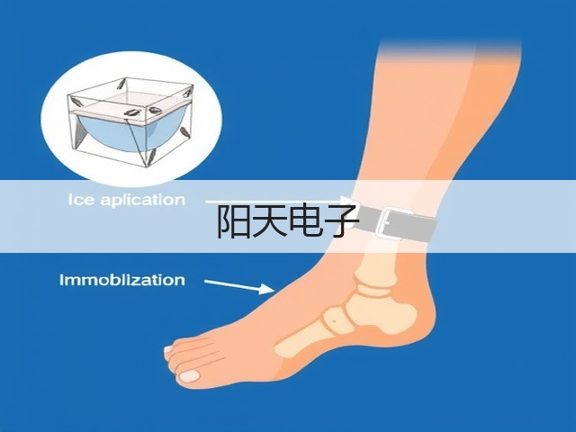 阳天电子(图2)
