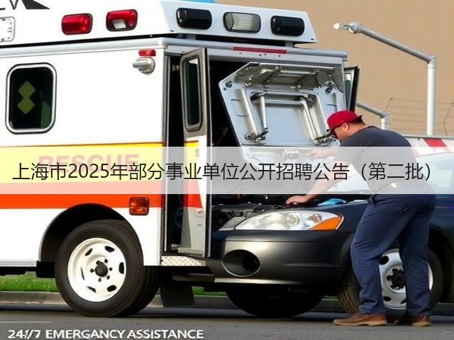 上海市2025年部分事业单位公开招聘公告（第二批）(图1)
