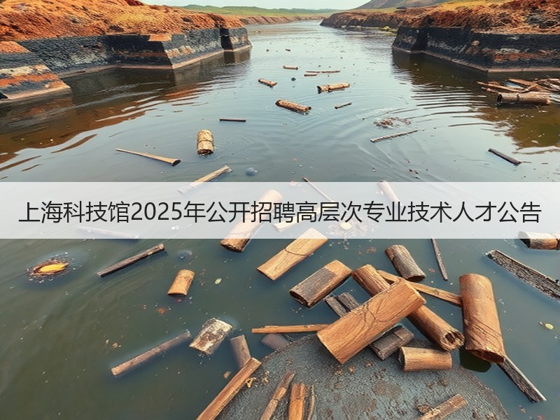 上海科技馆2025年公开招聘高层次专业技术人才公告
