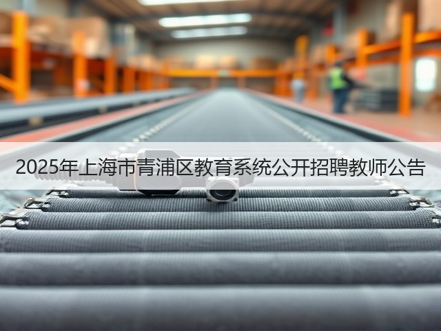 2025年上海市青浦区教育系统公开招聘教师公告(图1)