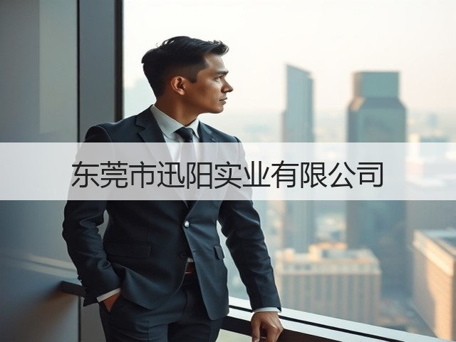 东莞市迅阳实业有限公司(图3)