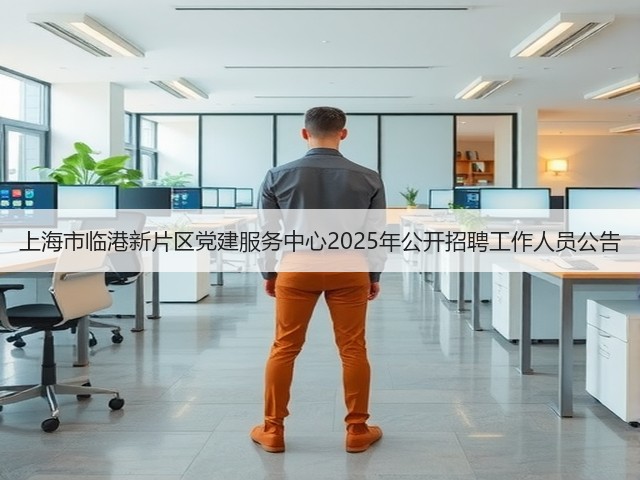 上海市临港新片区党建服务中心2025年公开招聘工作人员公告(图3) 上海市临港新片区党建服务中心2025年公开招聘工作人员公告(图3)
