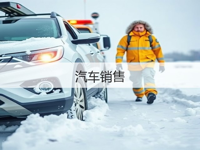 汽车销售(图2) 汽车销售(图2)
