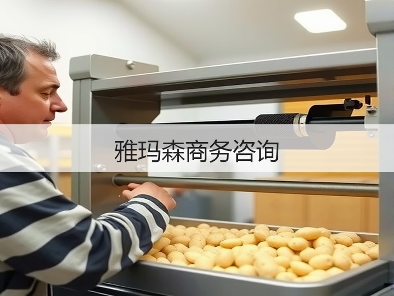 雅玛森商务咨询
