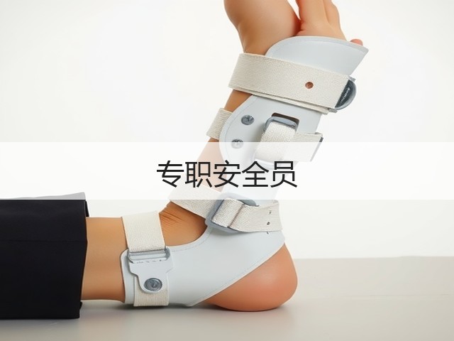 专职安全员(图3)