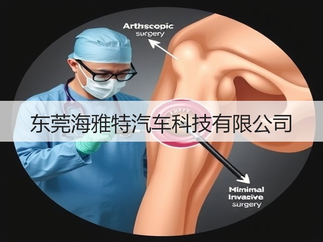东莞海雅特汽车科技有限公司(图1) 东莞海雅特汽车科技有限公司(图1)