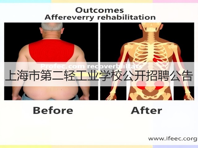 上海市第二轻工业学校公开招聘公告(图1)